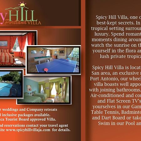 Spicy Hill Villa Port Antonio Pokój zdjęcie